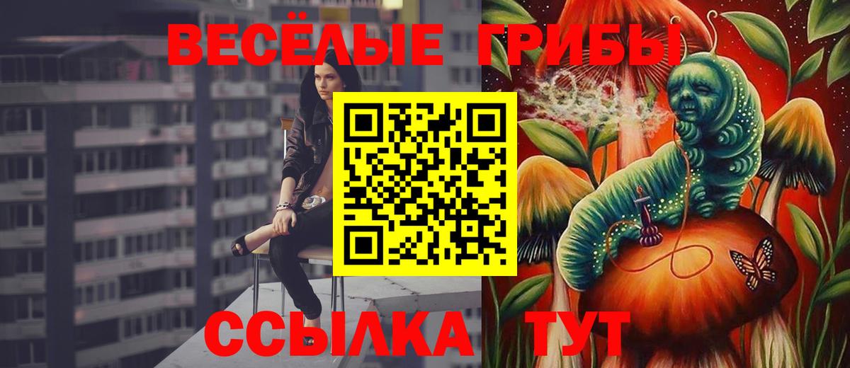 Галлюциногенные грибы прущие грибы Нальчик