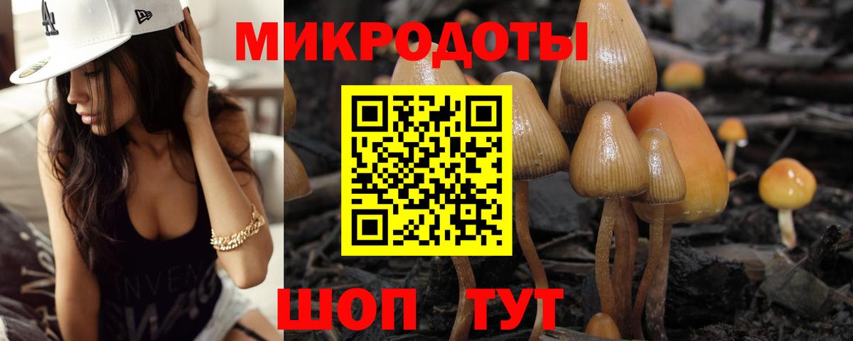 Нальчик  Псилоцибиновые грибы ЛСД  Вход с VPN 